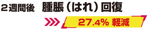 マレオTrain 改善・軽減データ
