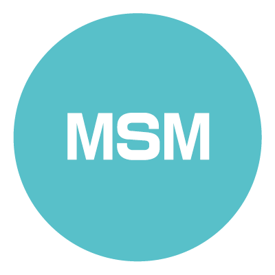 関節サポート成分MSM