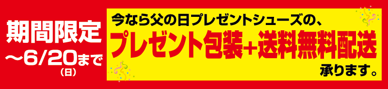 プレゼント包装＋送料無料配送