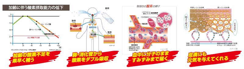 加齢に伴う酸素摂取能力の低下