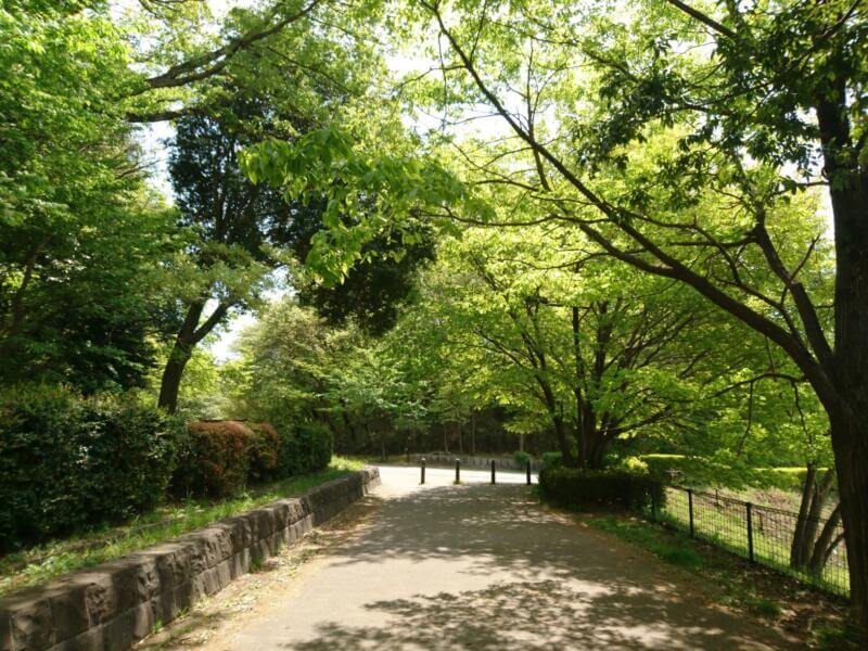 小山内裏公園