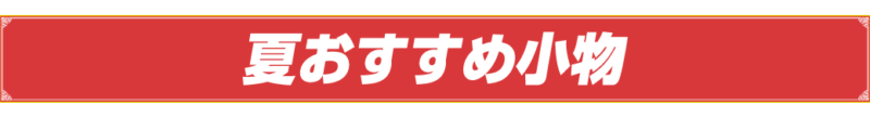 夏おすすめ小物