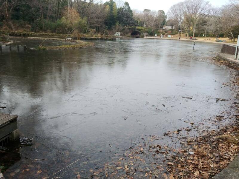 血流や筋肉の動きを助ける助っ人！