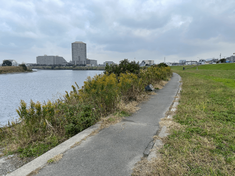 多摩川沿いの小道