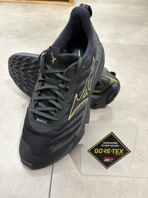 MIZUNO_WAVE_RIDER_GTX_2
