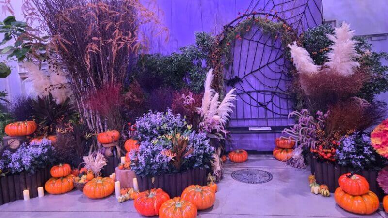 よみうりランド ハロウィーン