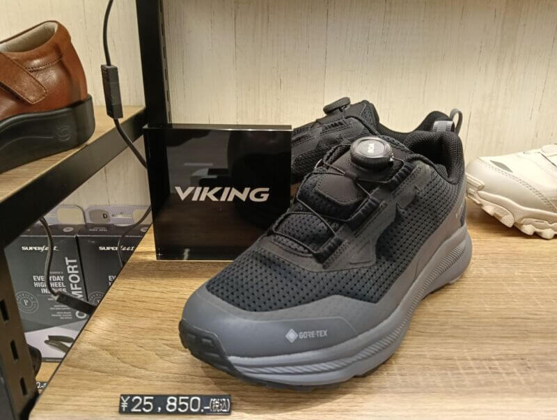 MOTION LOW GTX BOA メンズ ブラック×チャコール