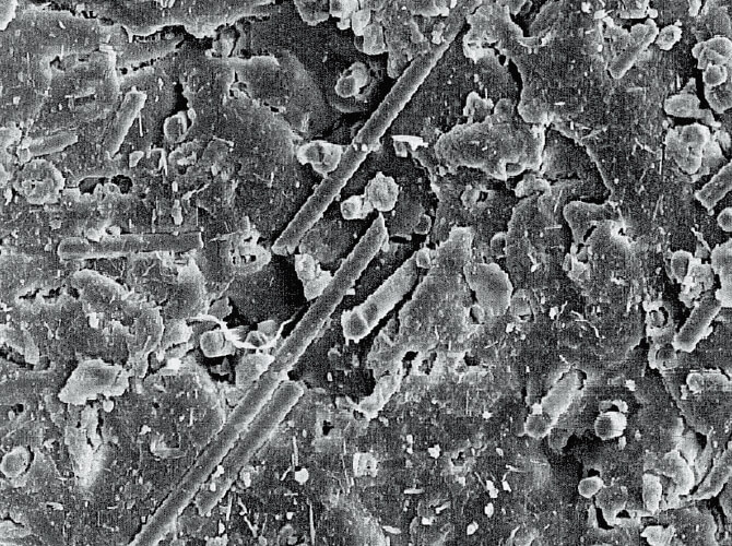 アイスキャッチソール拡大写真