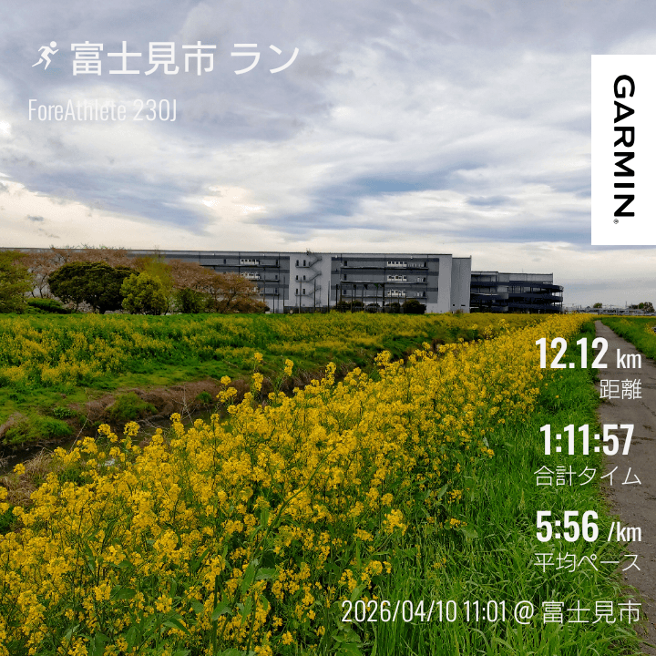 新河岸川菜の花ロード♪