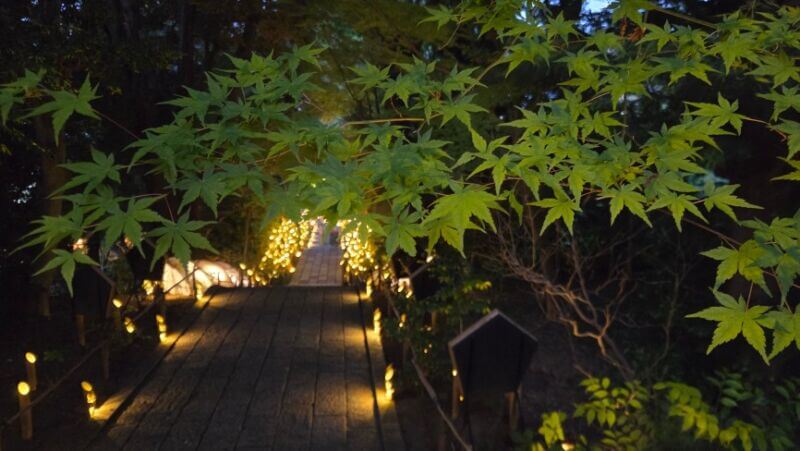 よみうりランド風景