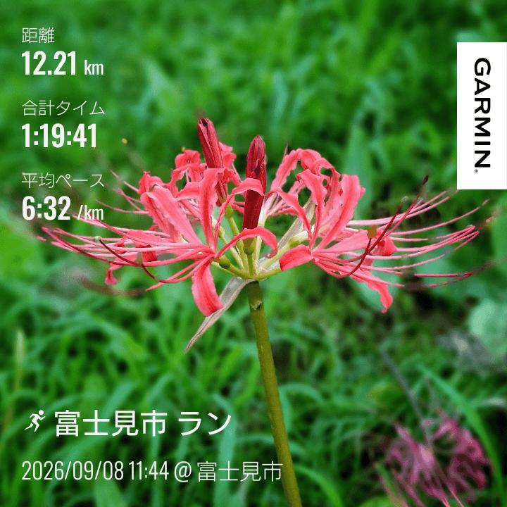 いろは親水公園の彼岸花
