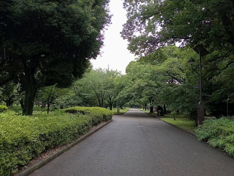 小金井公園