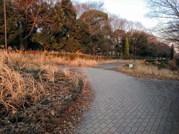 相模原市水道道