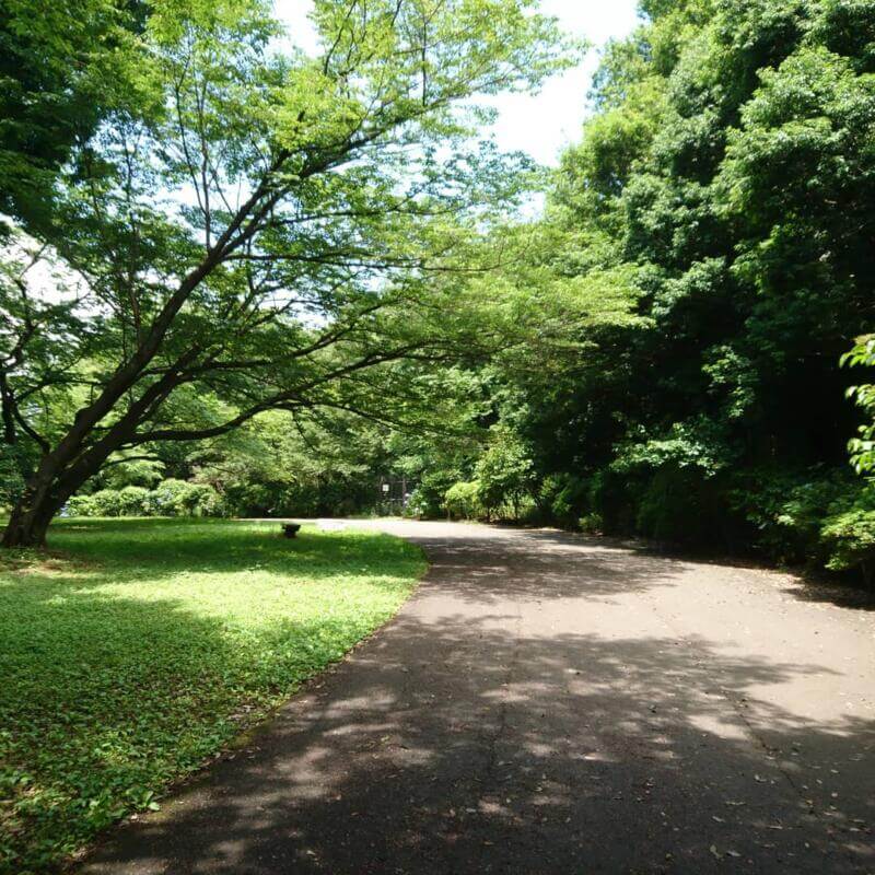 小山内裏公園内尾根緑道