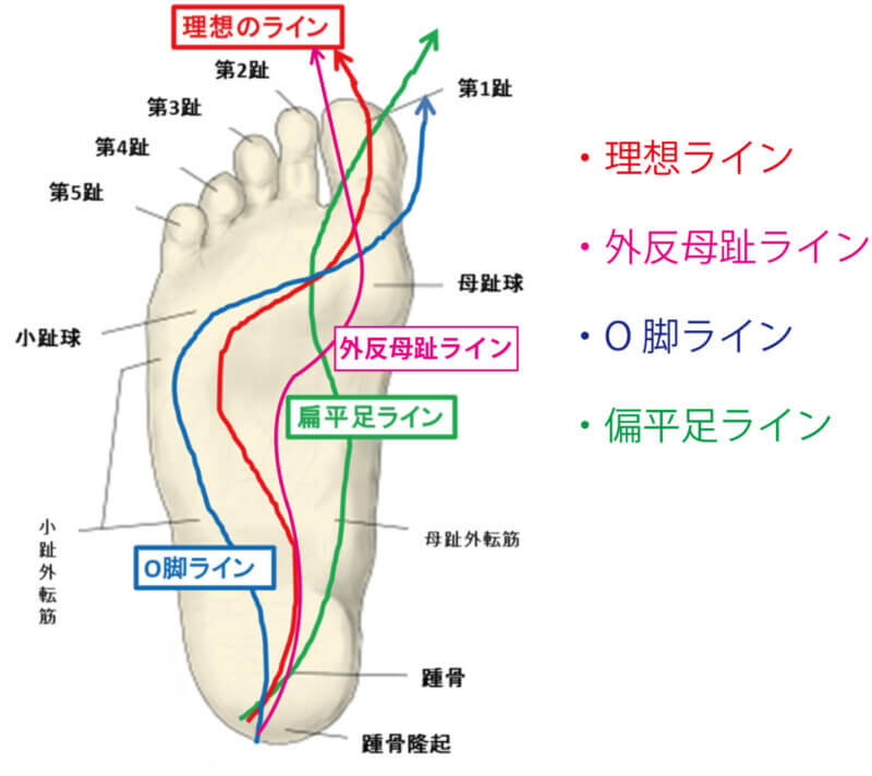 理想の体重移動