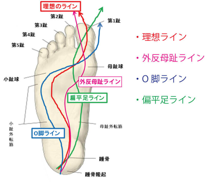 歩行時の体重移動