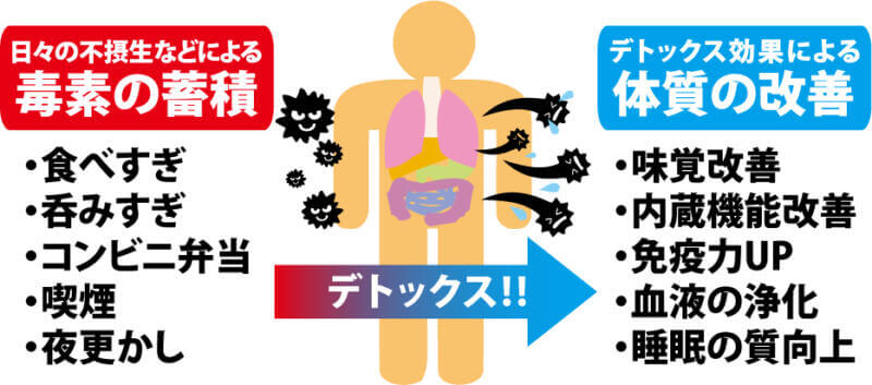 ファスティング　デトックス効果