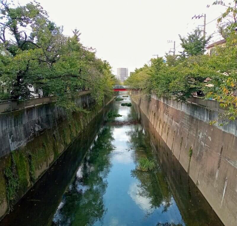 石神井川(板橋区)