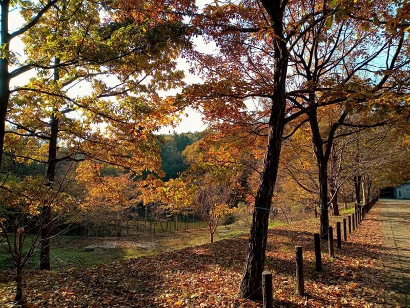 小山内裏公園