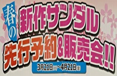 新作サンダルをご紹介