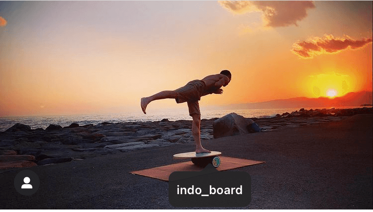 INDO BOARD