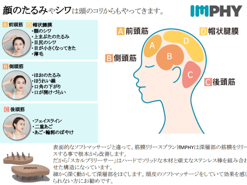 顔のたるみやシワは頭のコリからもやってきます。