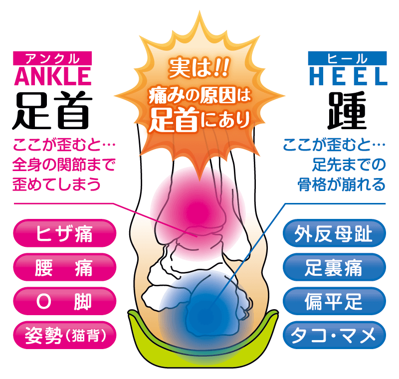 足・ひざ・腰の慢性的な痛みの原因！！