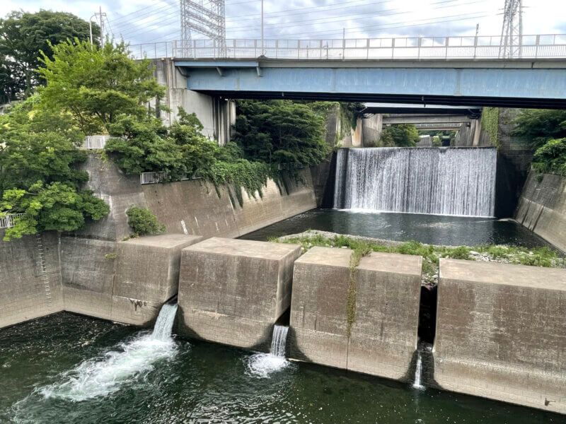 相模川の風景