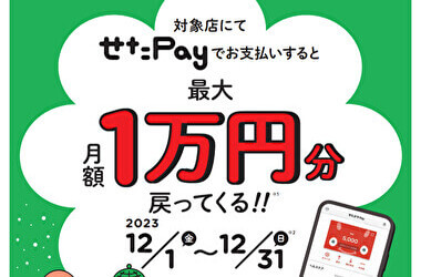 せたPayでお支払いすると最大月額１万円分戻ってくる！！