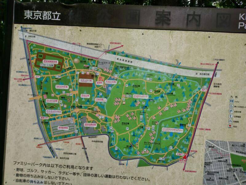 砧公園地図