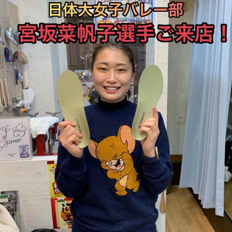 宮坂菜帆子 日本体育大学 女子バレー部